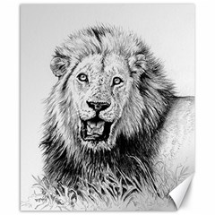 Lion Wildlife Art And Illustration Pencil Canvas 8  X 10  by Nexatart