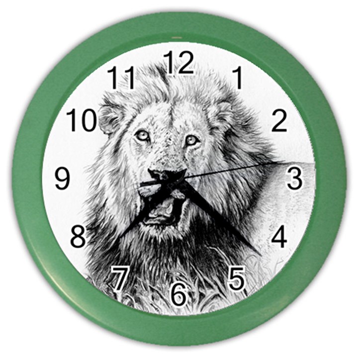 Lion Wildlife Art And Illustration Pencil Color Wall Clocks