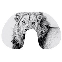 Lion Wildlife Art And Illustration Pencil Travel Neck Pillows by Nexatart