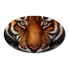 The Tiger Face Oval Magnet by Nexatart