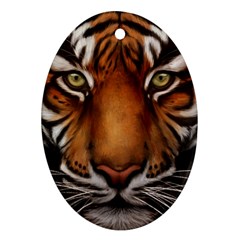 The Tiger Face Oval Ornament (two Sides) by Nexatart