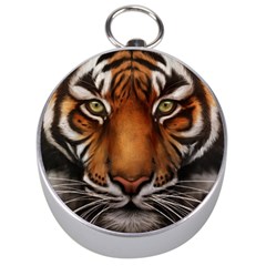 The Tiger Face Silver Compasses by Nexatart