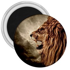 Roaring Lion 3  Magnets by Nexatart