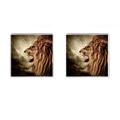 Roaring Lion Cufflinks (square) by Nexatart