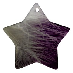 Feather Ease Airy Spring Dress Star Ornament (two Sides) by Nexatart