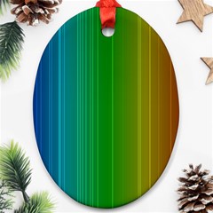 Spectrum Colours Colors Rainbow Oval Ornament (two Sides) by Nexatart