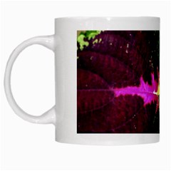 Plant Purple Green Leaves Garden White Mugs by Nexatart