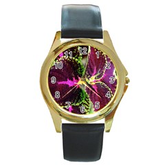 Plant Purple Green Leaves Garden Round Gold Metal Watch by Nexatart