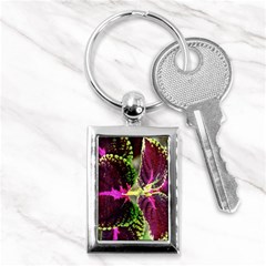 Plant Purple Green Leaves Garden Key Chains (rectangle)  by Nexatart