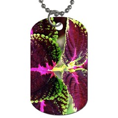 Plant Purple Green Leaves Garden Dog Tag (one Side) by Nexatart