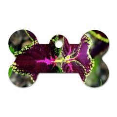 Plant Purple Green Leaves Garden Dog Tag Bone (one Side) by Nexatart