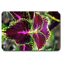 Plant Purple Green Leaves Garden Large Doormat  by Nexatart