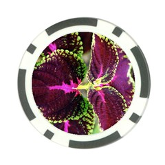 Plant Purple Green Leaves Garden Poker Chip Card Guard by Nexatart