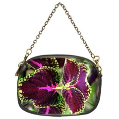 Plant Purple Green Leaves Garden Chain Purses (one Side)  by Nexatart