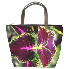 Plant Purple Green Leaves Garden Bucket Bags by Nexatart