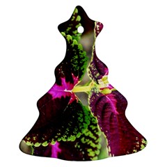 Plant Purple Green Leaves Garden Christmas Tree Ornament (two Sides) by Nexatart