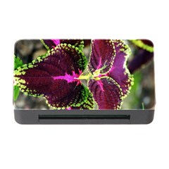 Plant Purple Green Leaves Garden Memory Card Reader With Cf by Nexatart