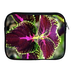 Plant Purple Green Leaves Garden Apple Ipad 2/3/4 Zipper Cases by Nexatart