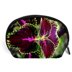 Plant Purple Green Leaves Garden Accessory Pouches (large)  by Nexatart