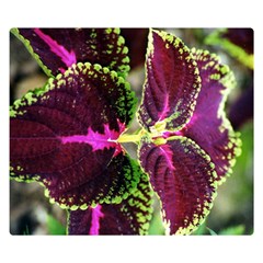 Plant Purple Green Leaves Garden Double Sided Flano Blanket (small)  by Nexatart