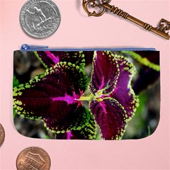 Plant Purple Green Leaves Garden Large Coin Purse by Nexatart