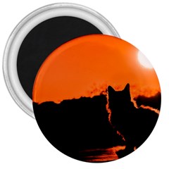 Sunset Cat Shadows Silhouettes 3  Magnets by Nexatart