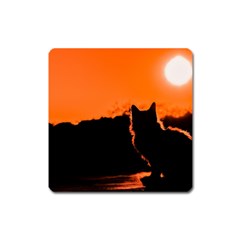 Sunset Cat Shadows Silhouettes Square Magnet by Nexatart