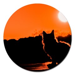 Sunset Cat Shadows Silhouettes Magnet 5  (round) by Nexatart