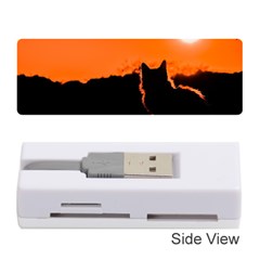 Sunset Cat Shadows Silhouettes Memory Card Reader (stick)  by Nexatart