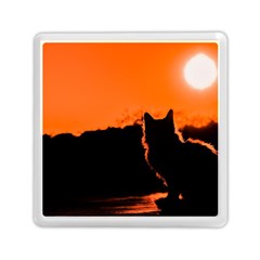 Sunset Cat Shadows Silhouettes Memory Card Reader (square)  by Nexatart