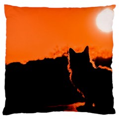 Sunset Cat Shadows Silhouettes Large Cushion Case (two Sides) by Nexatart