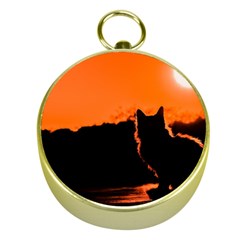 Sunset Cat Shadows Silhouettes Gold Compasses by Nexatart