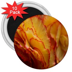 Flowers Leaves Leaf Floral Summer 3  Magnets (10 Pack) 