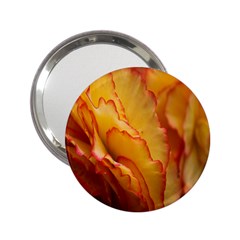 Flowers Leaves Leaf Floral Summer 2 25  Handbag Mirrors by Nexatart