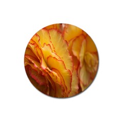 Flowers Leaves Leaf Floral Summer Magnet 3  (round)