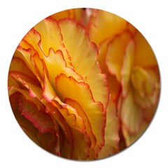 Flowers Leaves Leaf Floral Summer Magnet 5  (round) by Nexatart