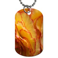 Flowers Leaves Leaf Floral Summer Dog Tag (two Sides) by Nexatart