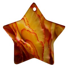 Flowers Leaves Leaf Floral Summer Star Ornament (two Sides) by Nexatart