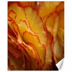 Flowers Leaves Leaf Floral Summer Canvas 16  X 20  