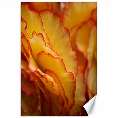 Flowers Leaves Leaf Floral Summer Canvas 24  X 36  by Nexatart