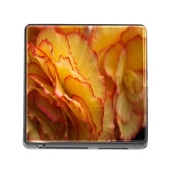 Flowers Leaves Leaf Floral Summer Memory Card Reader (square) by Nexatart