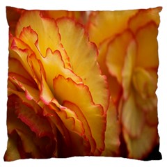 Flowers Leaves Leaf Floral Summer Large Flano Cushion Case (one Side) by Nexatart