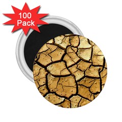 Dry Ground 2 25  Magnets (100 Pack) 