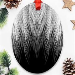 Feather Graphic Design Background Ornament (oval) by Sapixe