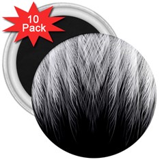 Feather Graphic Design Background 3  Magnets (10 Pack)  by Sapixe