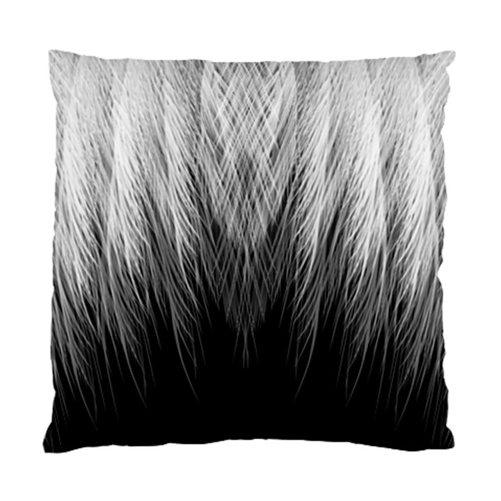 Feather Graphic Design Background Standard Cushion Case (One Side)