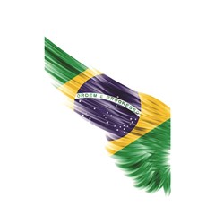 Flag Of Brazil Shower Curtain 48  X 72  (small)  by Sapixe