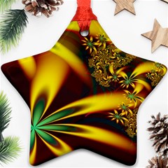 Floral Design Computer Digital Art Design Illustration Star Ornament (two Sides) by Sapixe