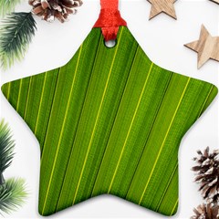 Green Leaf Pattern Plant Star Ornament (two Sides) by Sapixe