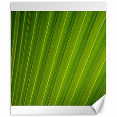 Green Leaf Pattern Plant Canvas 20  X 24   by Sapixe